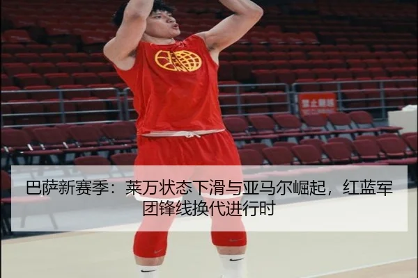 ba-sa-xin-sai-ji-lai-wan-zhuang-tai-xia-hua-yu-ya-ma-er-jue-qi-hong-lan-jun-tuan-feng-xian-huan-dai-jin-xing-shi-2-508.jpg