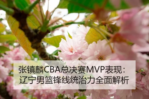 张镇麟CBA总决赛MVP表现：辽宁男篮锋线统治力全面解析